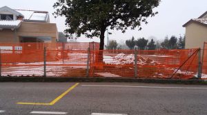 Padova, bosco di magnolie.