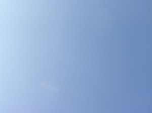 Clicca qui per prelevare