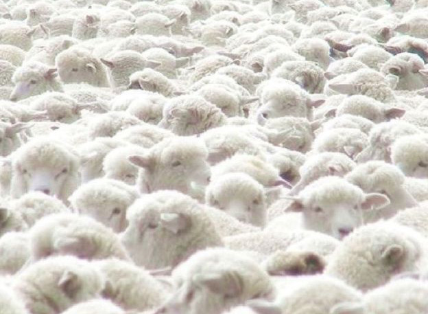 Storia di uno sguardo a puntate, 8 / Bianca folla di farina – Santa Maria di Amelia (prima&nbsp;parte)