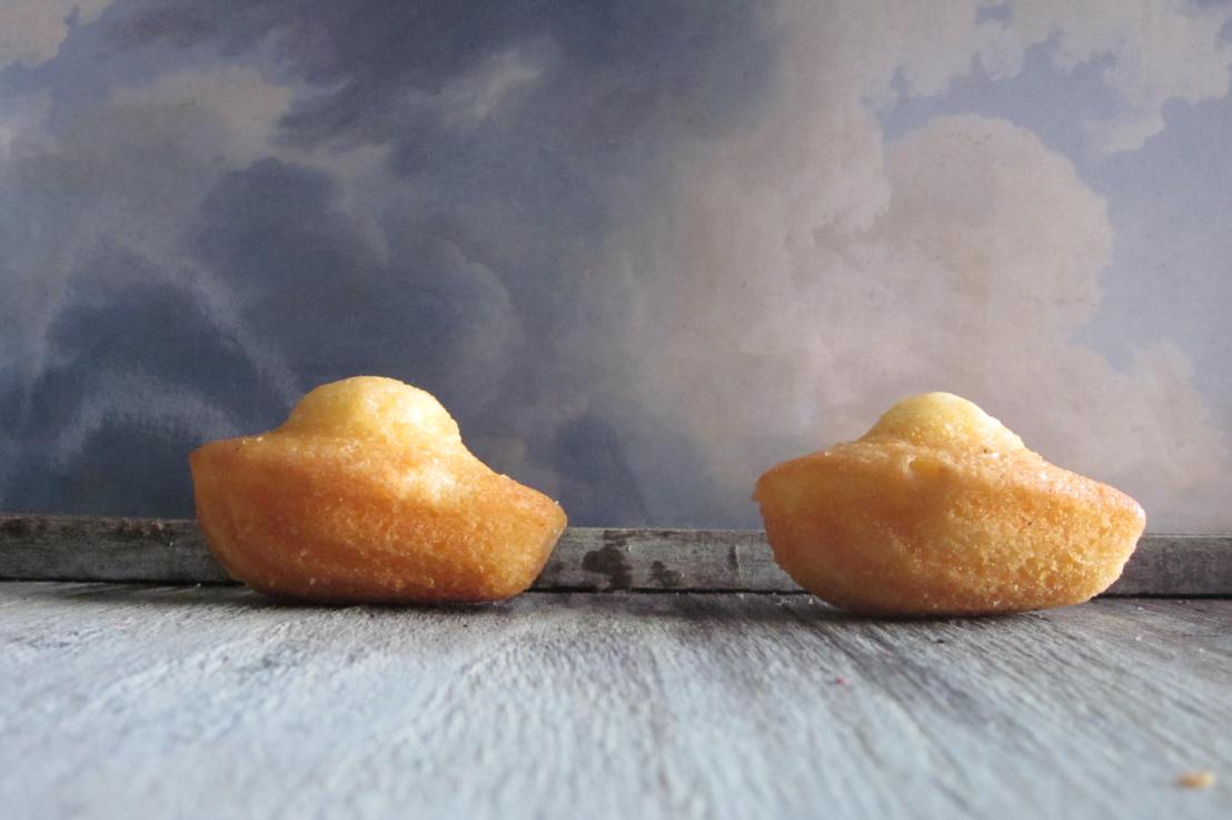 Il mondo sta scomparendo / da “Raccontare il paesaggio”, 2018