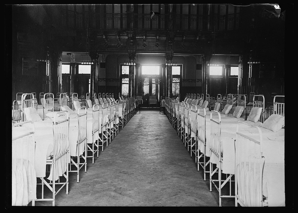 La piuma del paradiso